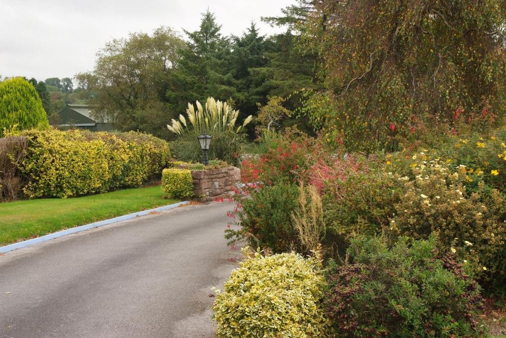 Gormans Country Home Killarney Extérieur photo