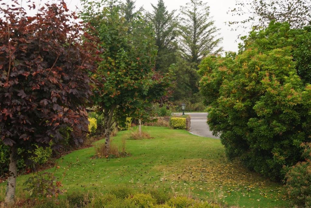 Gormans Country Home Killarney Extérieur photo
